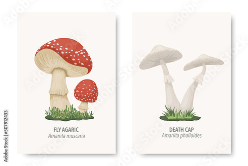 Vector Poisonous Inedible Mushrooms. Hand Drawn Cartoon Mushroom Set. Different Mushrooms Isolated on White. Fly Agaric, Amanita Muscaria, Death Cap, Amanita Phalloides