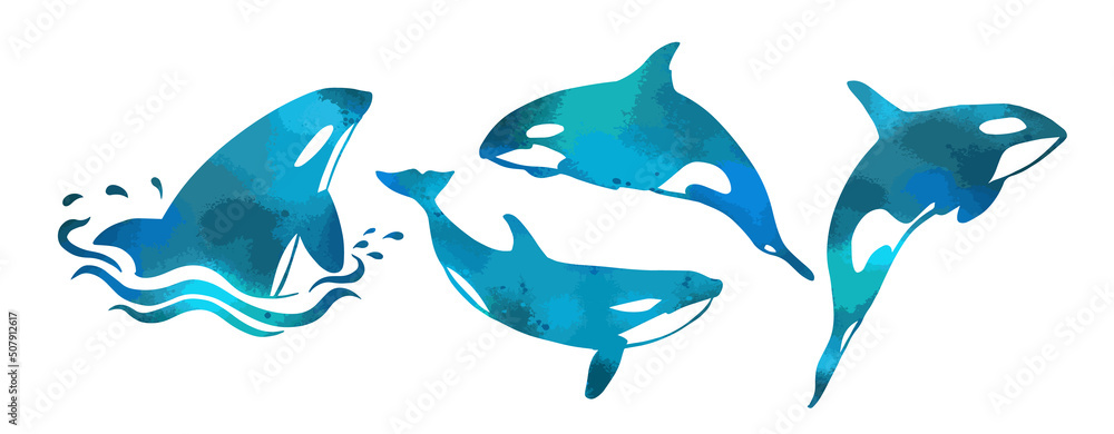 Killer whale blue set. Vector illustration Killer whale blue set. Vector illustration