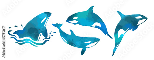 Killer whale blue set. Vector illustration