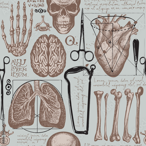 Anatomy seamless pattern with draw human organs