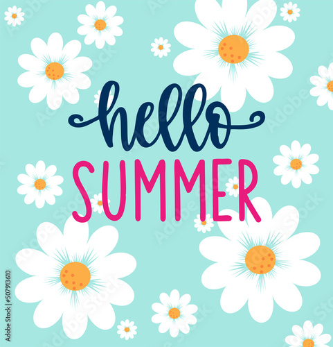 Hello Summer handmade lettering and realistic daisy, camomile flowers on  blue background. Vector illustration card