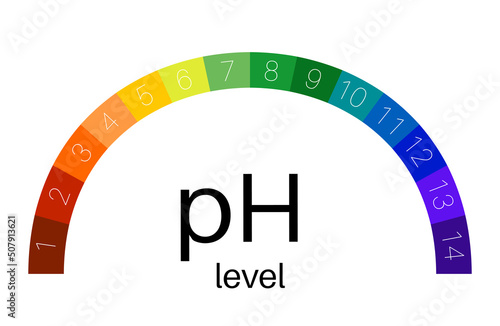 PH scale diagram