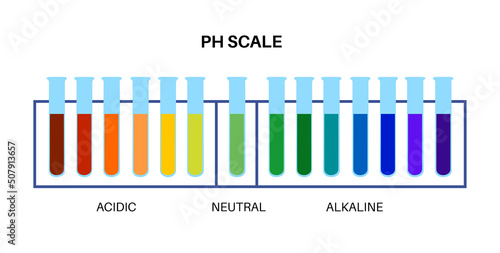 PH scale diagram