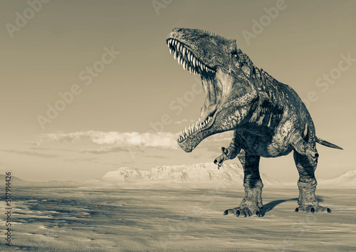 giganotosaurus is doing a intimidating pose on sunset desert with copy space © DM7