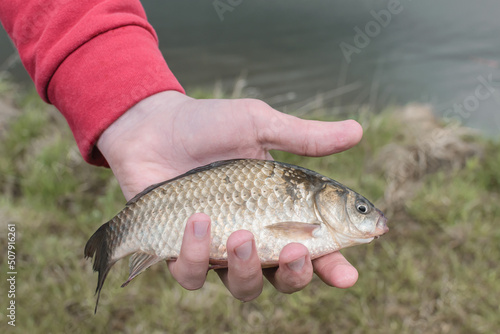 Fototapeta Naklejka Na Ścianę i Meble -  Hand holding fish