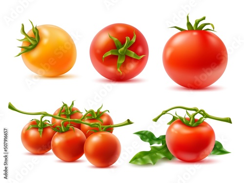 Realistic tomatoes. 3d vegetables, whole fruits on twigs, green leaves, red and yellow agricultural natural products, fresh cooking, juice and ketchup ingredients, vector food isolated set