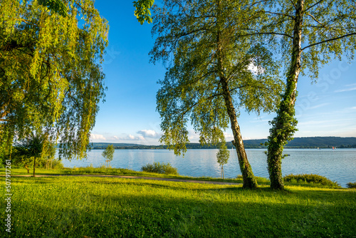 Ferien am schönen Bodensee Halbinsel Mettnau - Radolfzell am Bodensee  photo