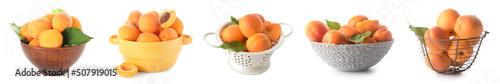 Set of sweet tasty apricots isolated on white