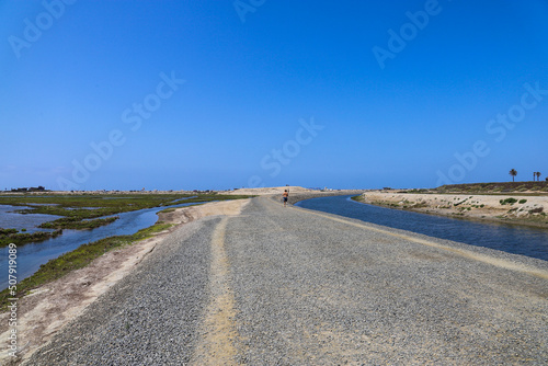 a long winding dirt footpath surrounded by blue ocean water and lush green grass and plants with blue sky at Bolsa Chica Ecological Reserve in Huntington Beach California USA photo