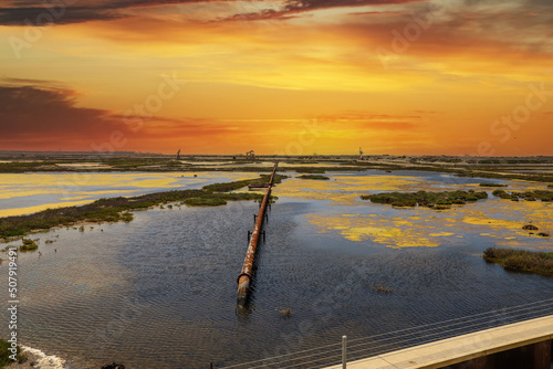 a long rusty pipeline in the middle of a marsh surrounded by blue ocean water and lush green plants with yellow pollen on the water and powerful clouds at sunset at Bolsa Chica Ecological Reserve photo