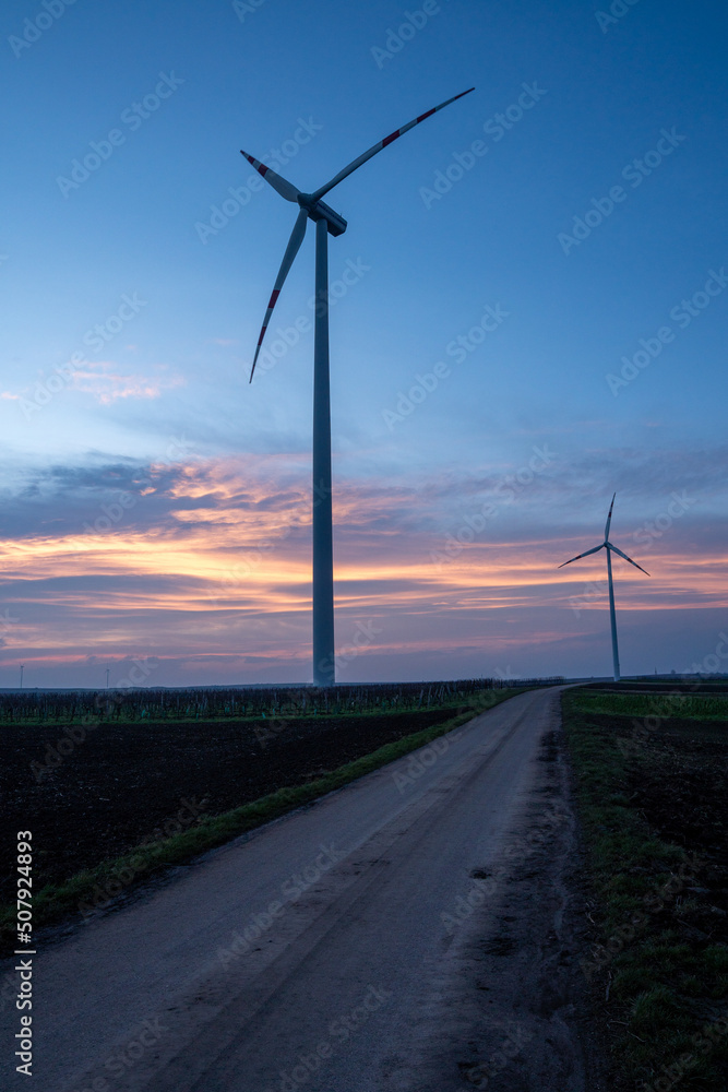 Obraz premium windrad im Sonnenuntergang