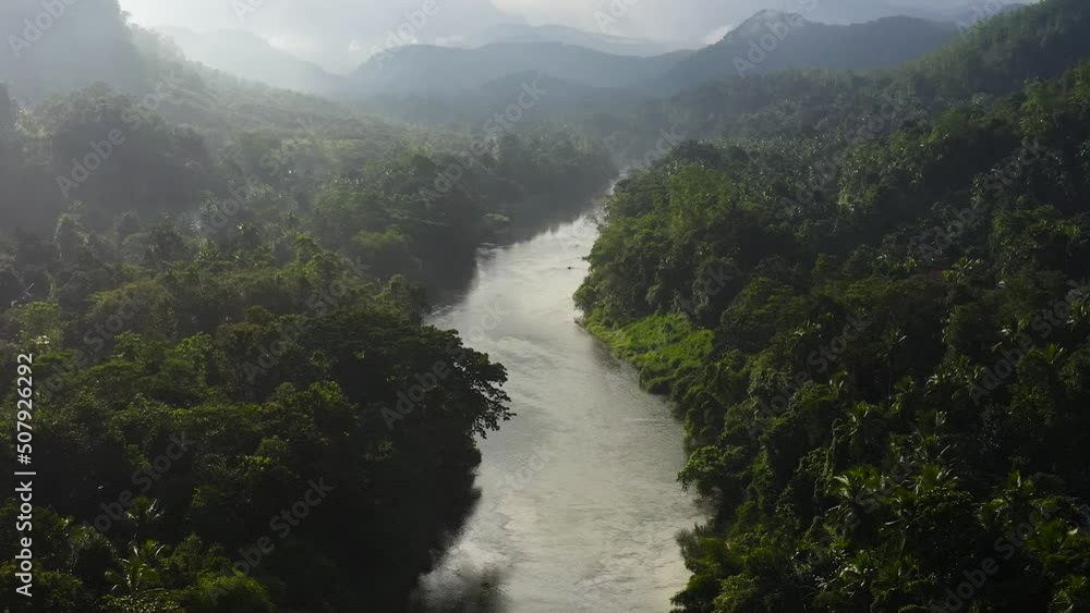 The river among the jungle and rainforest is illuminated by sunlight in the early morning. Sri Lanka. The river among the jungle and rainforest is illuminated by sunlight in the early morning. Sri Lanka.