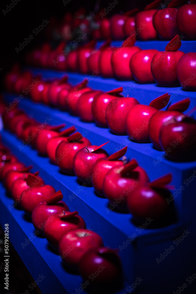 Rows of red apples at a wedding party Rows of red apples at a wedding party