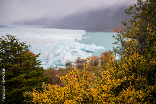 Otoño y nieve