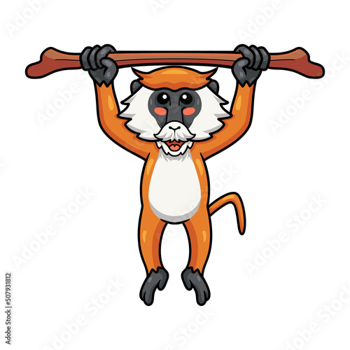 Cute little patas monkey cartoon hanging on tree