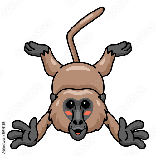 Cute little baboon monkey cartoon posing