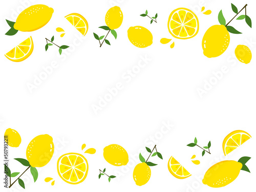 枝付きやカットされたレモンのお洒落なフレームデザイン