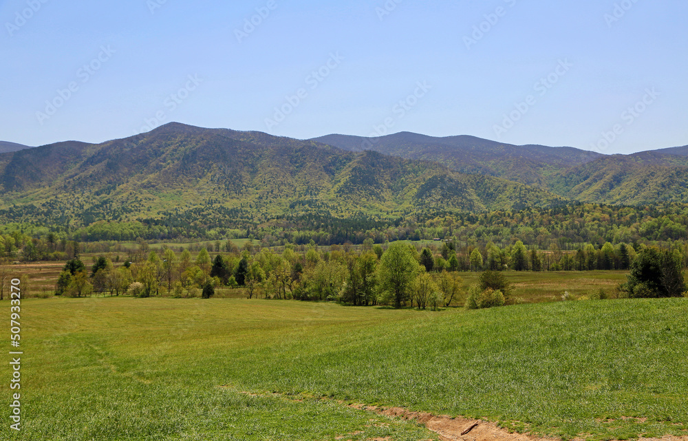 Naklejka premium Great Smoky Mountains landscape, Tennessee
