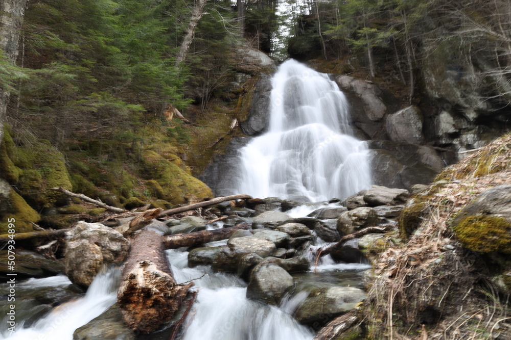 Fototapeta premium beautiful waterfall in the forest