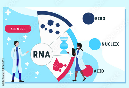 RNA - Ribonucleic acid acronym. business concept background.  vector illustration concept with keywords and icons. lettering illustration with icons for web banner, flyer, landing page