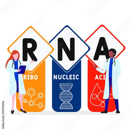 RNA - Ribonucleic acid acronym. business concept background.  vector illustration concept with keywords and icons. lettering illustration with icons for web banner, flyer, landing page