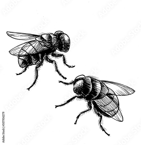 Two flies. Ink black and white drawing photo