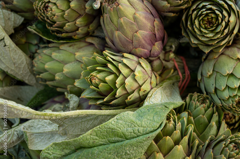 Obraz premium Fresh raw heads of artichokes plants for sale on farmers market