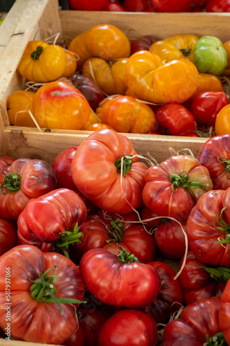 Colorful french ripe tasty tomatoes in assortment on Provencal market in Cassis  Provence  France