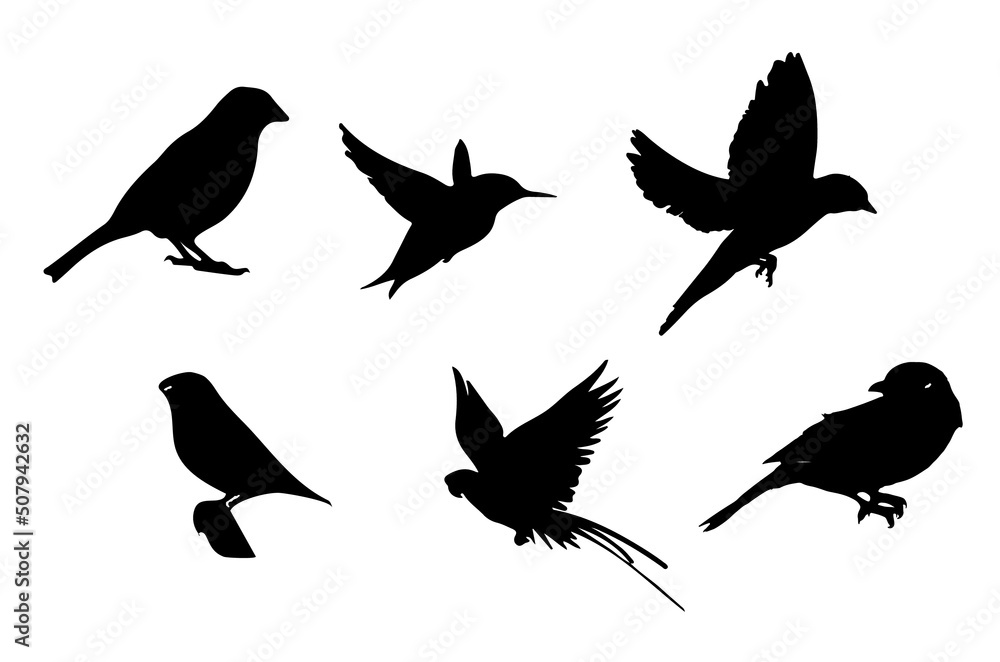 Obraz premium Flying birds silhouettes on white background. Vector illustration. isolated bird flying. tattoo design.