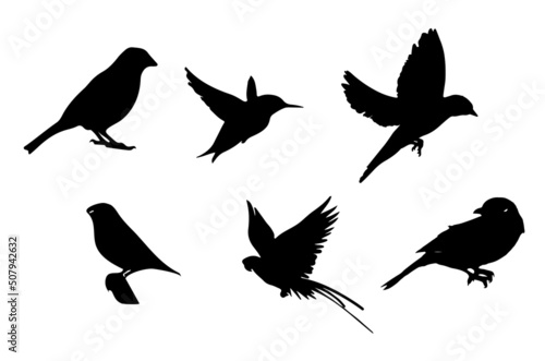 Flying birds silhouettes on white background. Vector illustration. isolated bird flying. tattoo design.