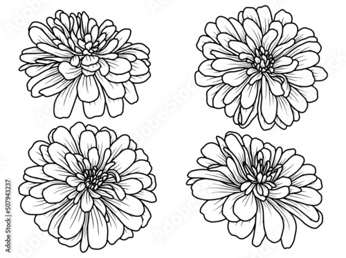 Hand drawing and sketch flower with line art illustration