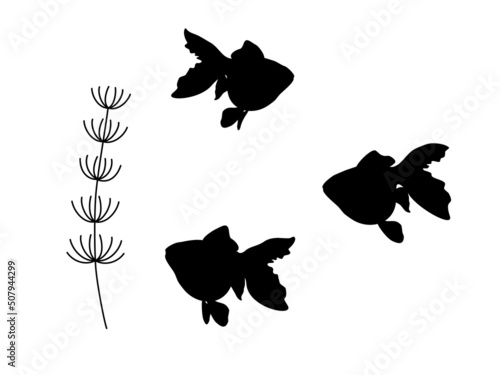 可愛い金魚のシルエットイラスト素材