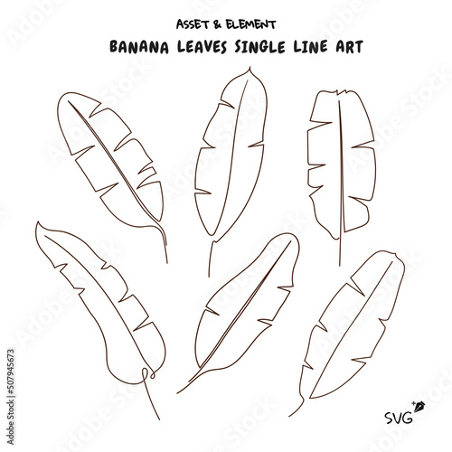 Banana leaves single line art ,vector design and element