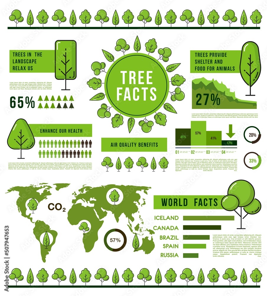 Forest trees infographics, eco nature and world ecology or plants ...