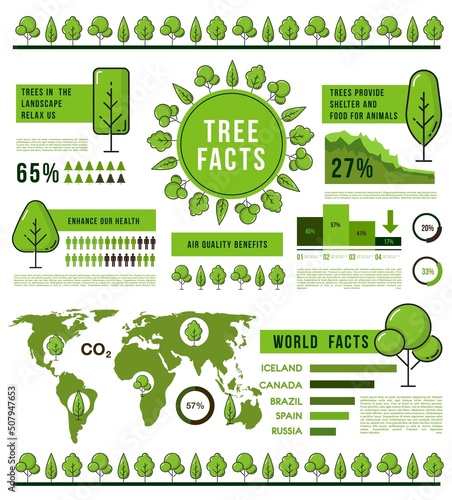 Forest trees infographics, eco nature and world ecology or plants, vector information charts. Forest trees infographics on map with charts and diagram graphs on landscape and planet environment facts