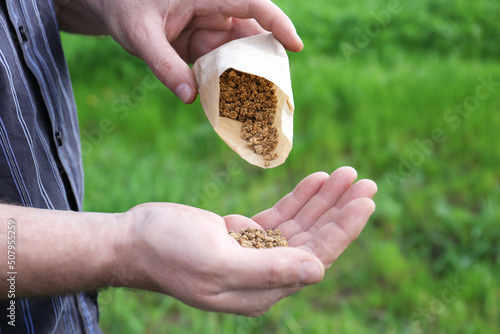 Man pouring beet seeds from paper bag into hand outdoors, closeup