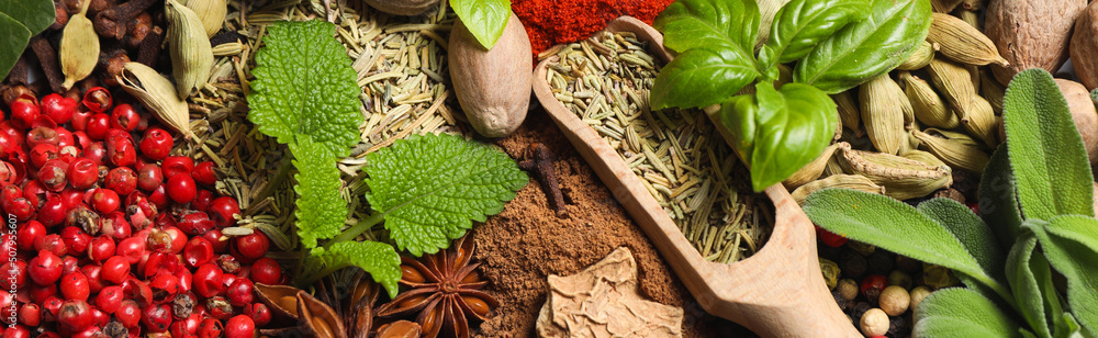 Different fresh herbs with aromatic spices as background, top view. Banner design Different fresh herbs with aromatic spices as background, top view. Banner design