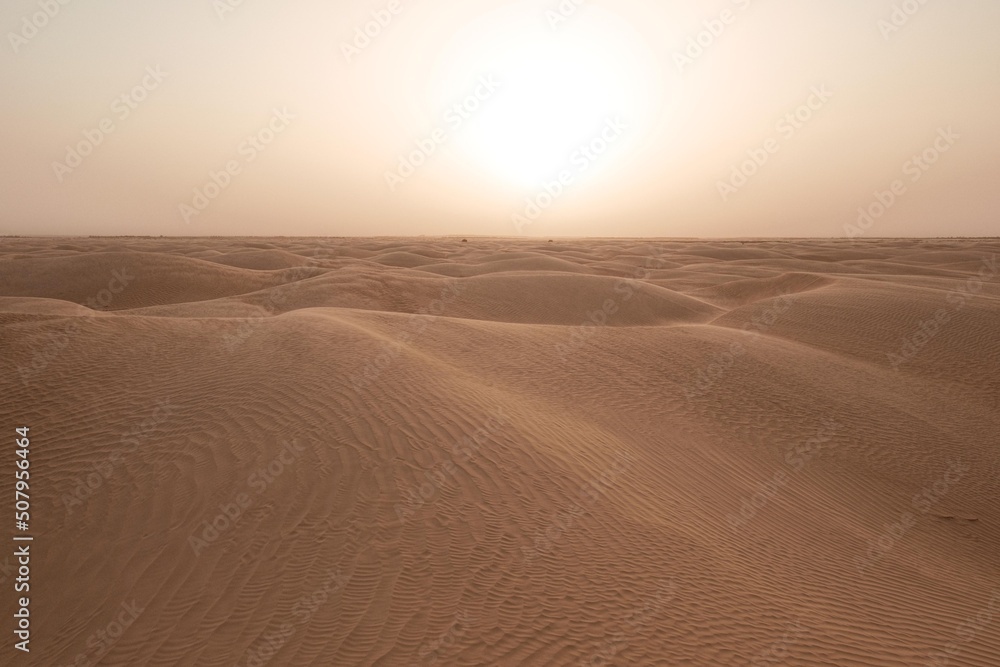 Sahara im Sonnenuntergang