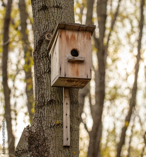 Birdhouse on a tree in the spring