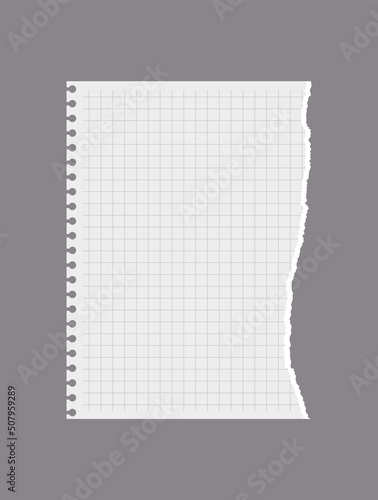White realistic torn checkered page of notebook, vector illustration