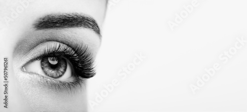 Tela Female Eye with Extreme Long False Eyelashes