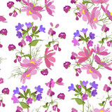 Seamless vector illustration with lungwort, kosmea and sweet pea in a white background.