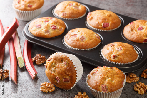 Homemade sweet muffins with rhubarb and walnuts close-up in a baking dish on the table. horizontal