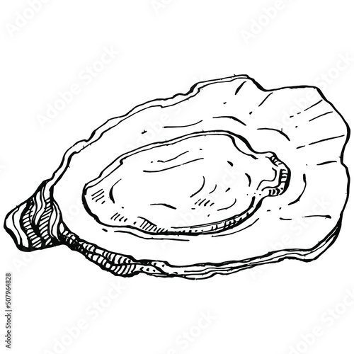 Oysters vector with engraving style illustration of logo or emblem for design seafood menu, lunch. Classic American steakhouse or French bistro appetizer.