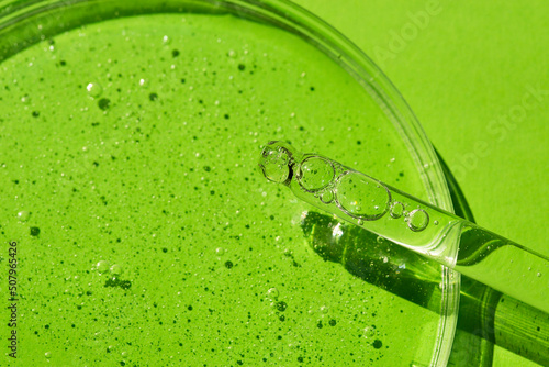 Dropper pipette with serum or cosmetic liquid and petri dish on green background. Transparent container with liquid and bubbles. The appearance of the texture of the gel. Medicine and beauty concept.