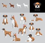 Dog Boxer Cartoon Vector Illustration Color Variation Set