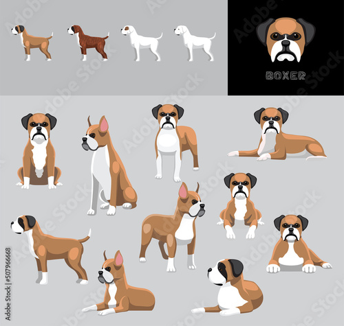 Dog Boxer Cartoon Vector Illustration Color Variation Set