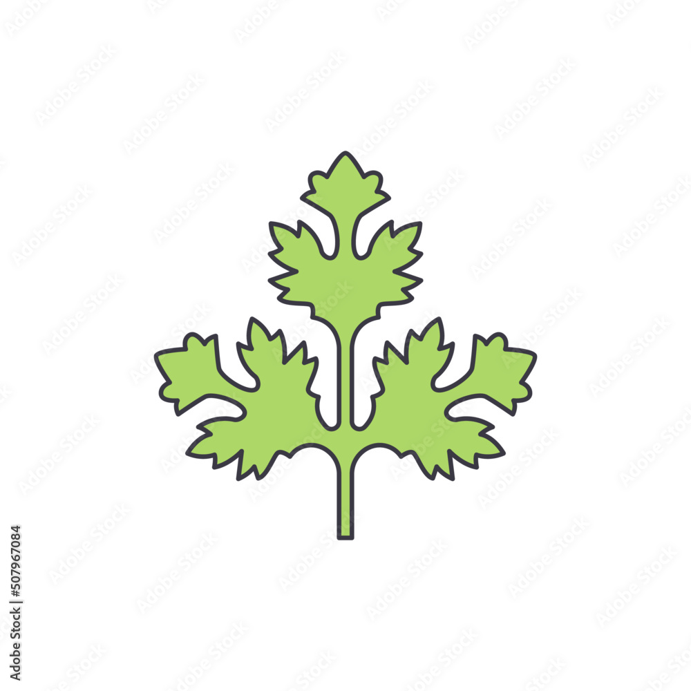 Fototapeta premium Coriander leaf icon in color, isolated on white background 