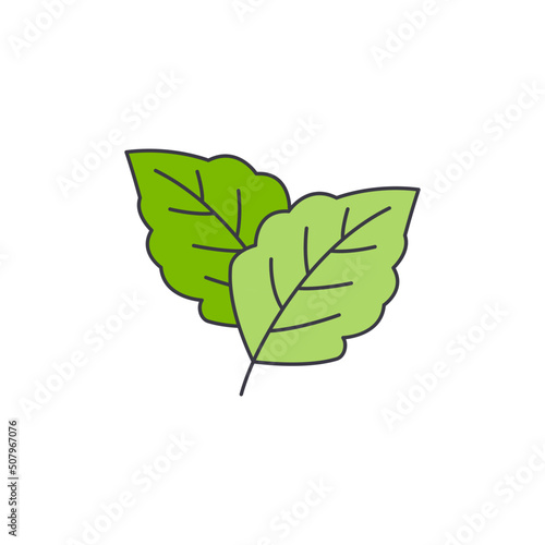 menthol leaf icon in color, isolated on white background 