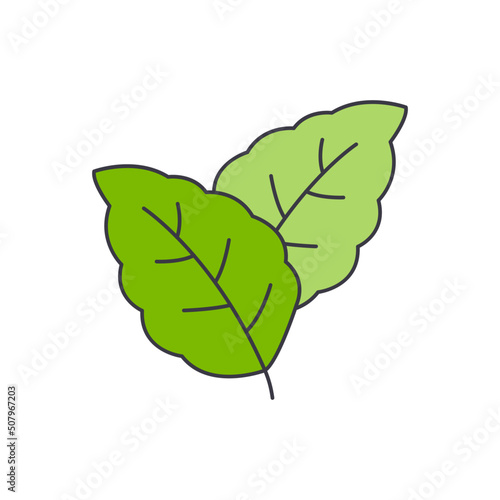 menthol leaf icon in color, isolated on white background 